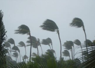 Tropical Storm Bertha Likely to Trigger Gulf Coast Flight Delays