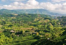 Colombia Earthquake Disrupts Air Travel