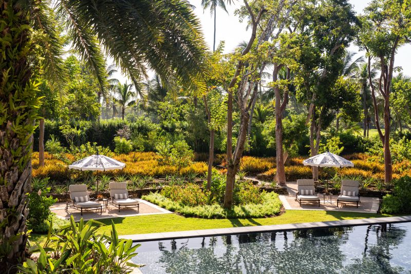 Pineapple Garden Umbrellas at the Dorado Beach, a Ritz-Carlton Reserve.