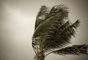 Hurricane Isaias Takes Aim at Gulf Coast
